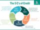 What Makes Up Your credit score?